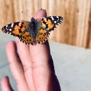 Meet your Posher, Candace